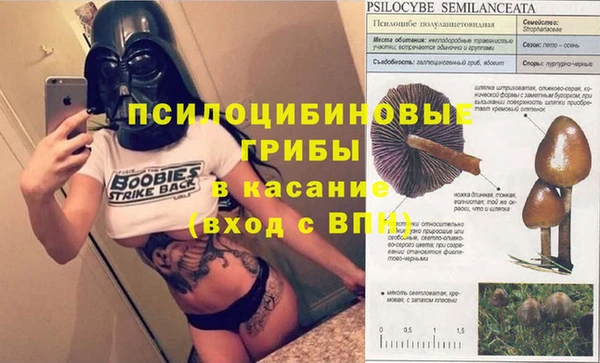 гидропоника Мосальск
