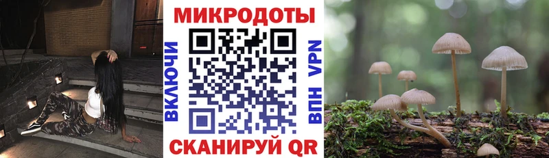 Псилоцибиновые грибы GOLDEN TEACHER  Полысаево 