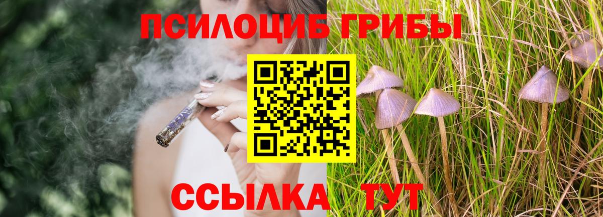 Галлюциногенные грибы GOLDEN TEACHER  Полысаево  Псилоцибиновые грибы Cubensis 