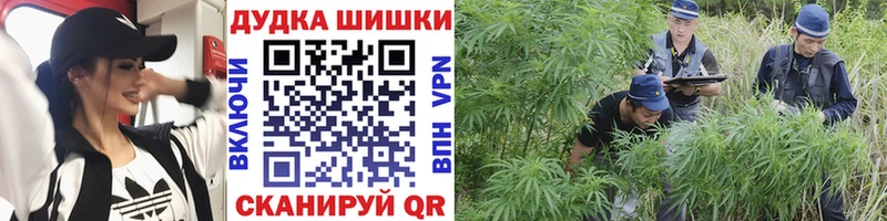 Бошки Шишки план  KRAKEN сайт  Полысаево  магазин  наркотиков 